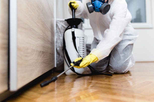 Best Emergency Pest Control  in Menands, NY