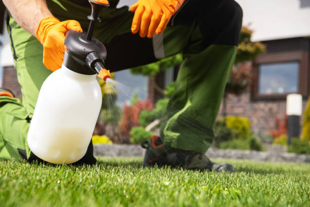 Best Flea Control Services  in Menands, NY