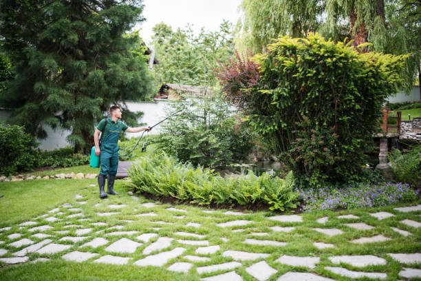 Best Ant Control Services  in Menands, NY