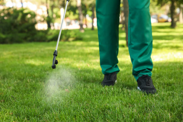 Wasp Removal Services in Menands, NY