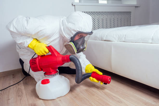 Best Rat Extermination Near Me  in Menands, NY