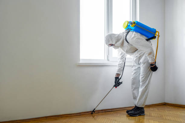 Best Spider Control Near Me  in Menands, NY