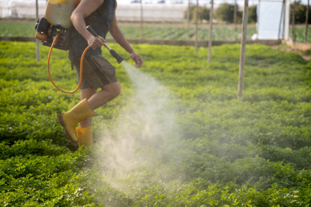 Best Pest Control Near Me  in Menands, NY