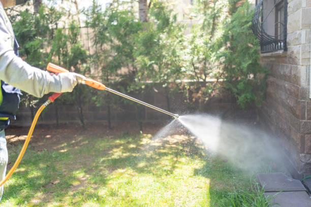 Bird Control in Menands, NY