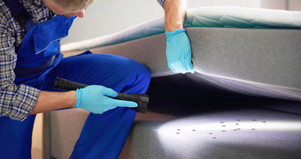 Best Pest Control Near Me in Menands, NY